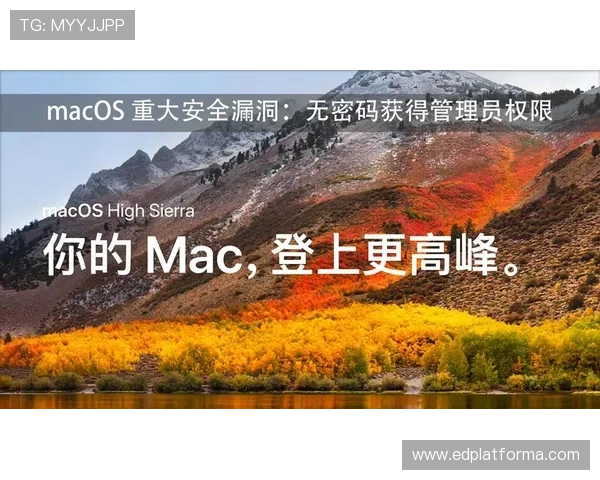 欧博代理管理系统登录密码管理技巧帮助代理商保障账户安全